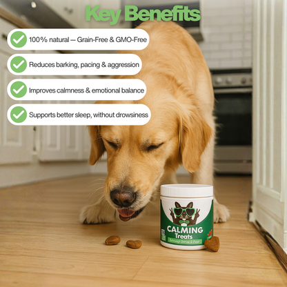 HappyDoggy Natural Calming Treats